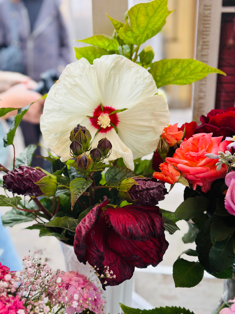 Фото автора канала