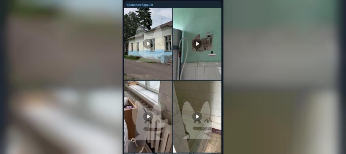    Фото: скриншот телеграм-канала «Кровавая барыня»