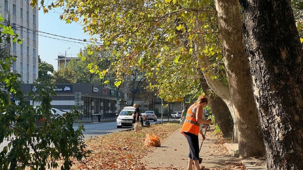    Фото: телеканал «Краснодар»