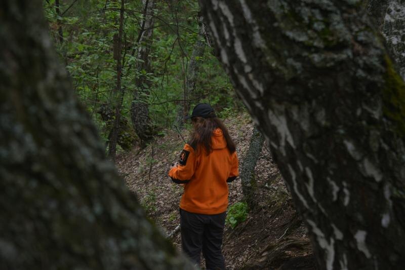    ДПСО «ЛизаАлерт»