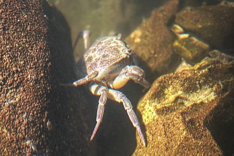 Фото: Илья Романов