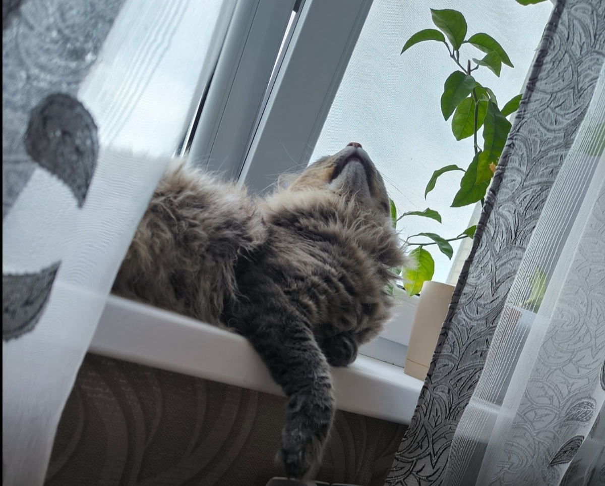 Все фотографии в статье авторские