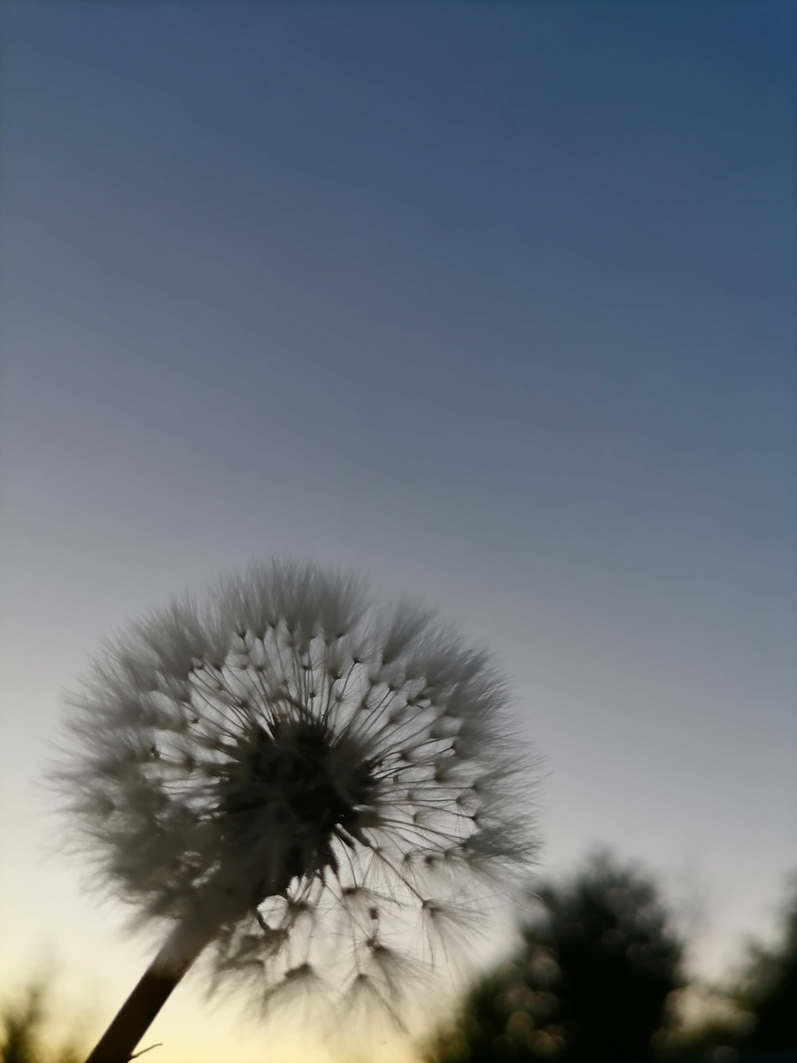 Просто красивое фото... 