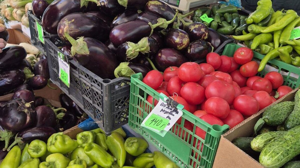    Фото: телеканал «Краснодар»