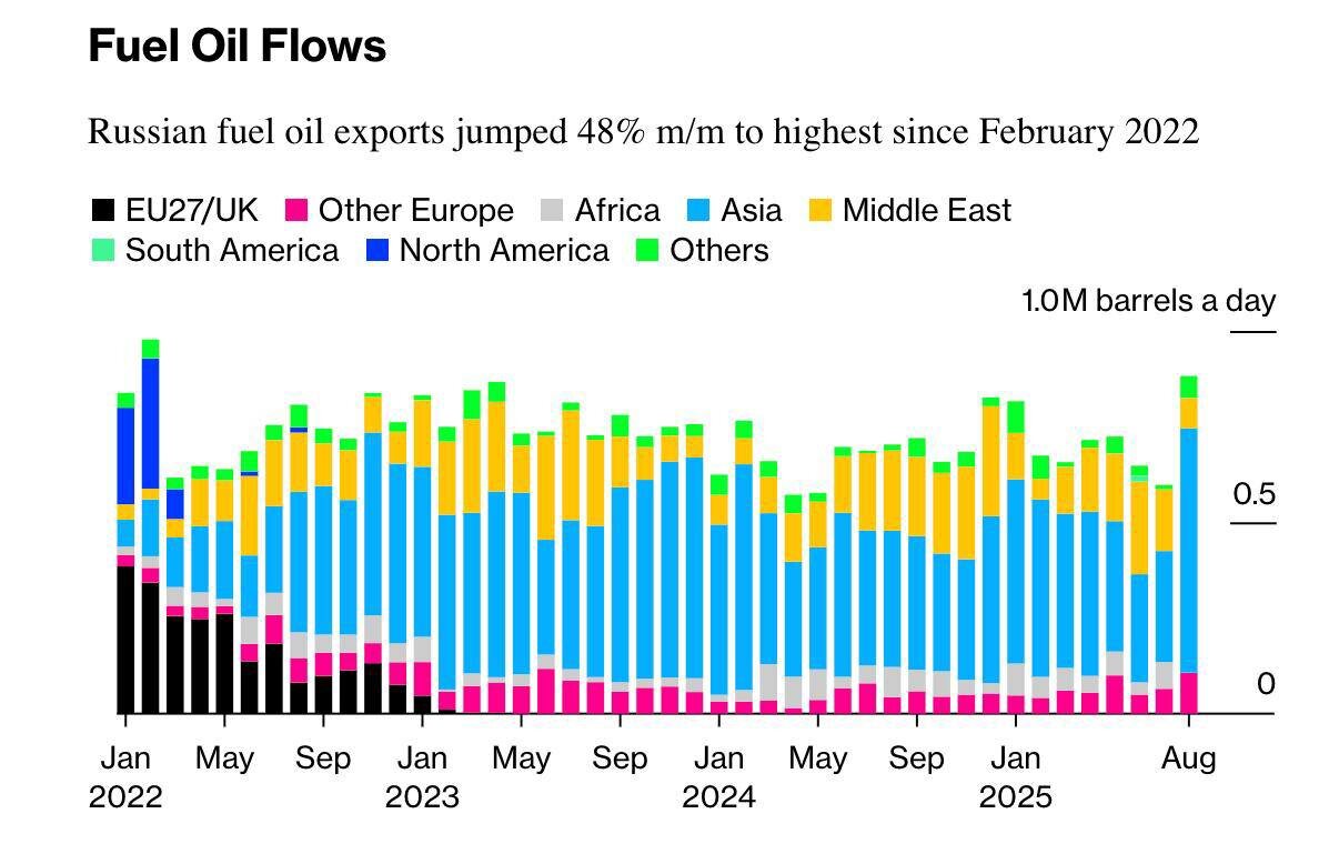 Источник: https://t.me/bolecon