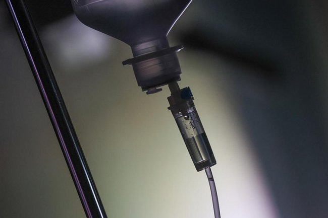    Фото: Алексей Белкин / NEWS.ru / Global Look Press