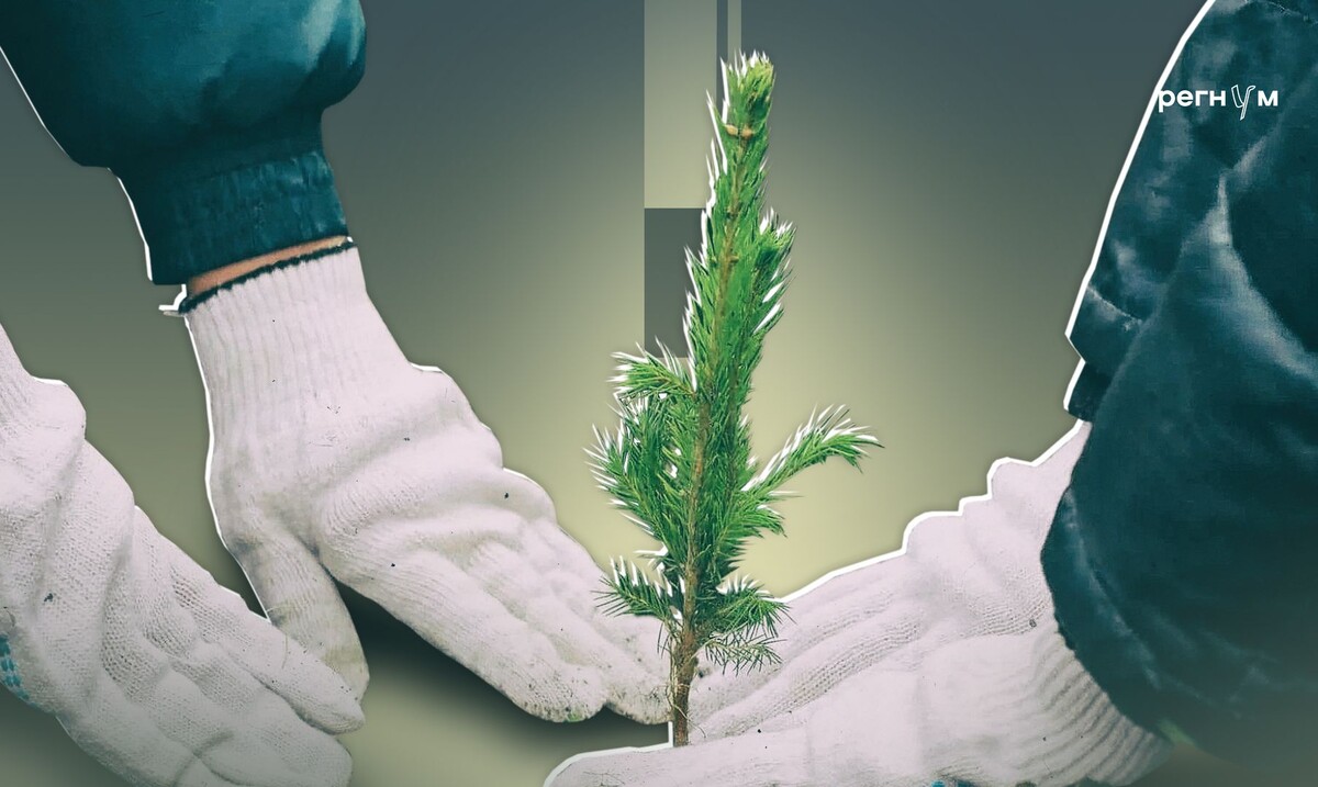     / Источник: Иван Шилов (с) ИА Регнум