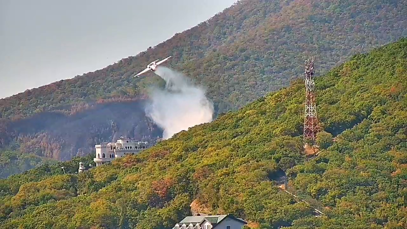    Фото: пресс-служба Краевого лесопожарного центра