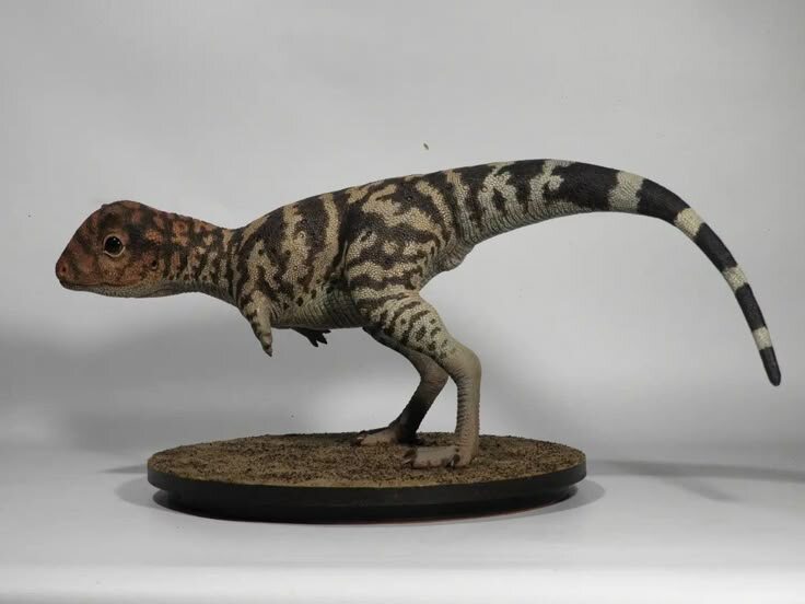 Малыш Карнотавра