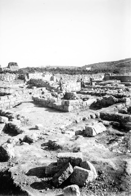 Долина Мамре. Фото: кон. XIX - нач. XX вв.