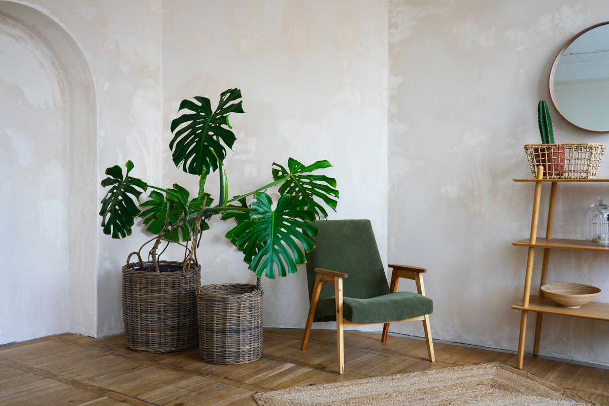 https://www.freepik.com/free-photo/room-decor-with-potted-monstera-plant_27502220.htm#fromView=search&page=1&position=1&uuid=c808435f-3b9f-45cb-b4f1-f673397d992f&query=эко+интерьер
