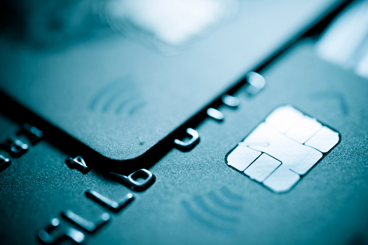     Фото: WINDCOLORS / Shutterstock.com