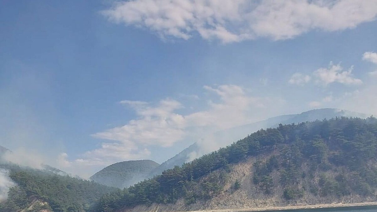    Фото: t.me/krd_klpc