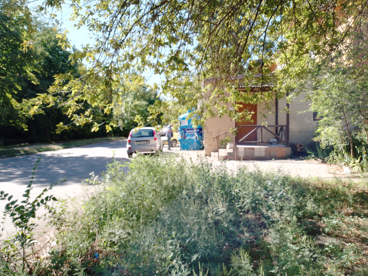 Лето вернулось. 