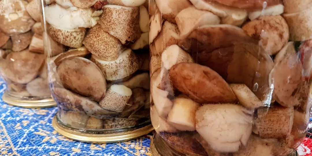 Маринованные подберёзовики и подосиновики на зиму: королевская закуска по-домашнему. Грибы на зиму