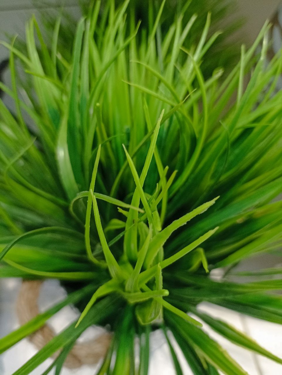 зелень в горшке добавляет уюта кухонному интерьеру