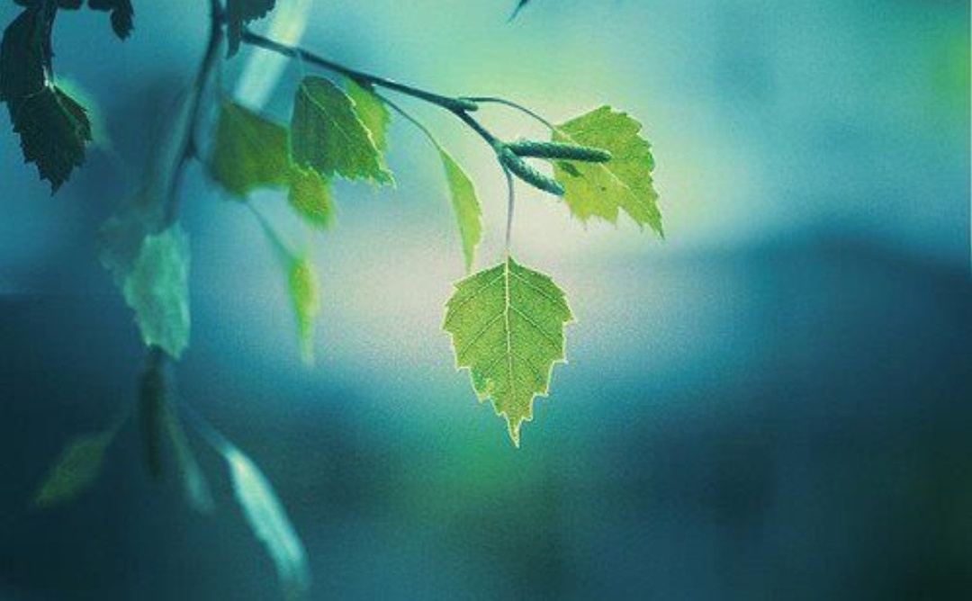 Моменты уединения - жизненная необходимость