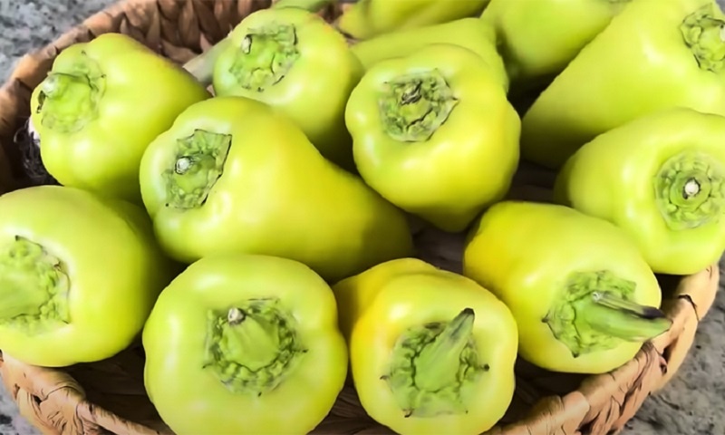 Армянские перцы с чесноком: закуска, которая удивит любого