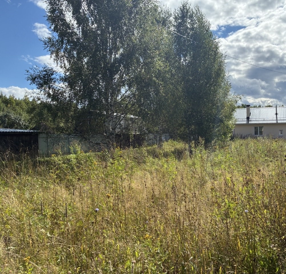 Дома, построенные рядом с лесом