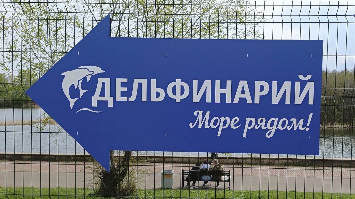 Отправляемся в путешествие