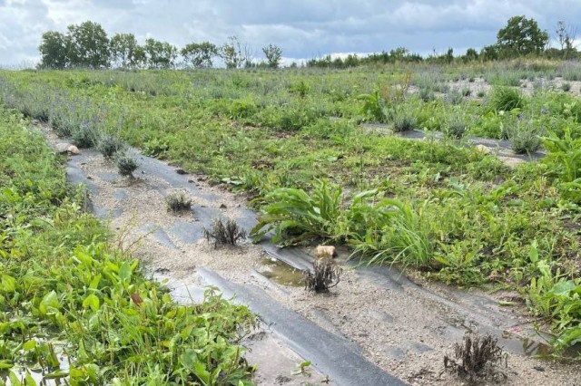   Фото предоставил Иван Прилипин