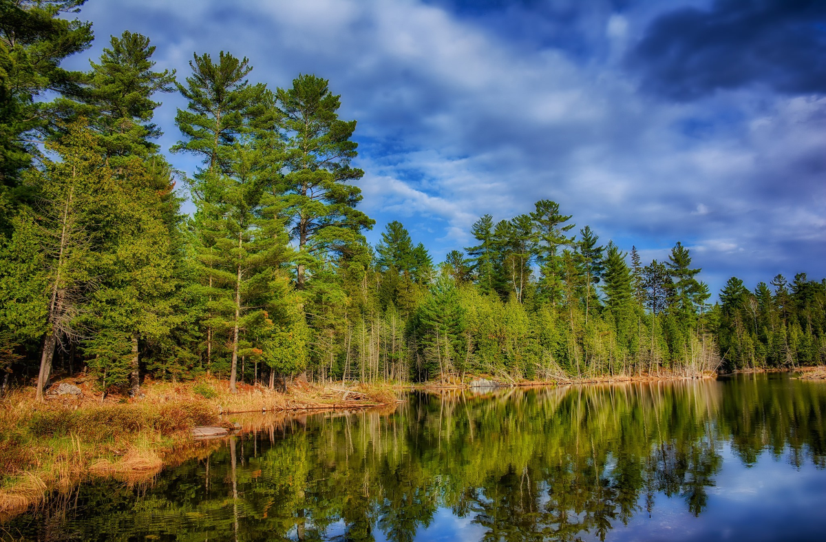 Обзор главных событий недели: акции не растут, рекомендации новых дивидендов, много отчетов, размещения облигаций и другие новости