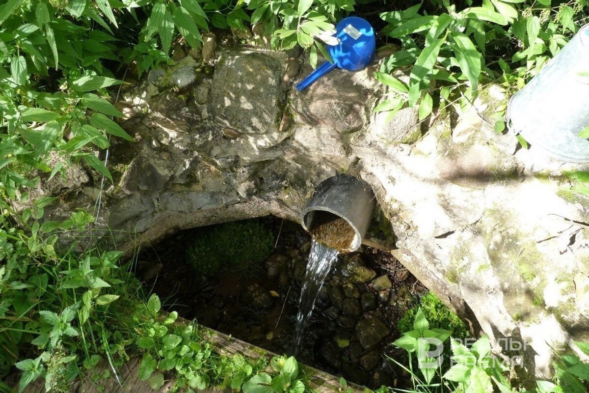   Реальное время / realnoevremya.ru