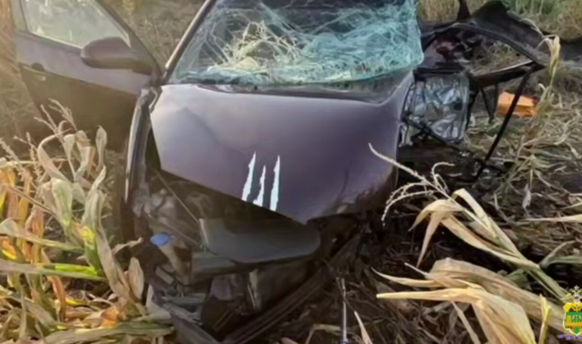    Фото t.me/mvd_23