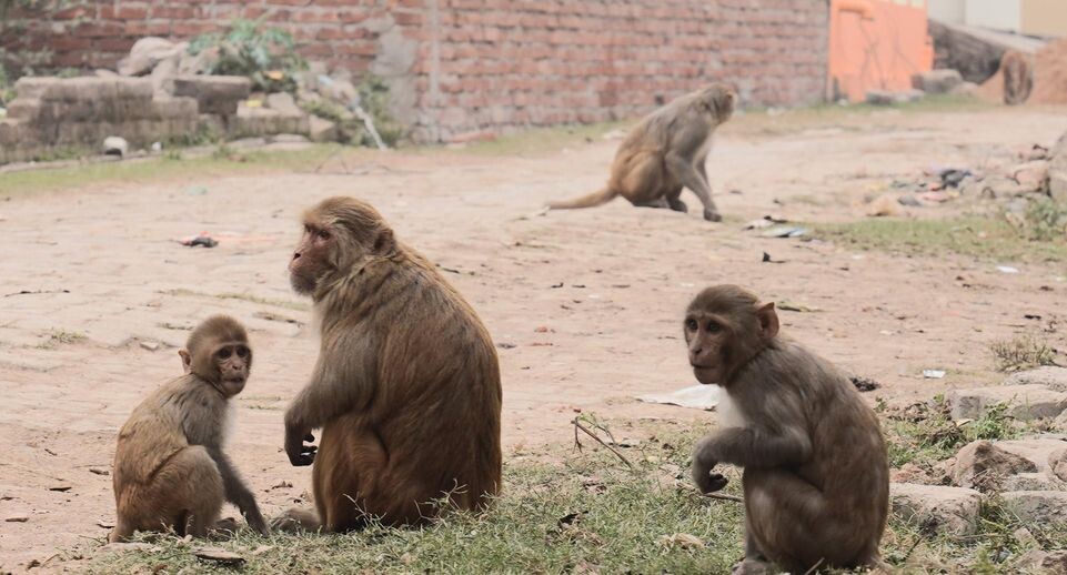    Anne-Sophie Galli/dpa / www.globallookpress.com