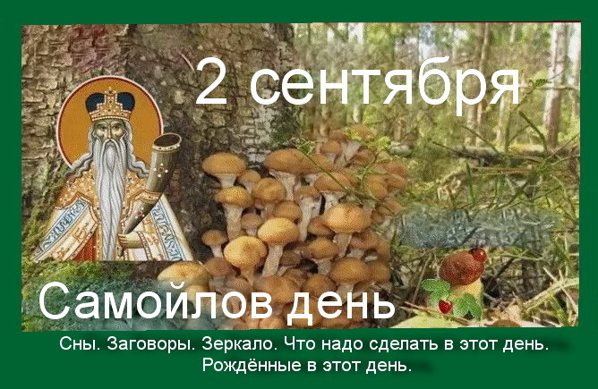 Источник : Яндекс картинки.