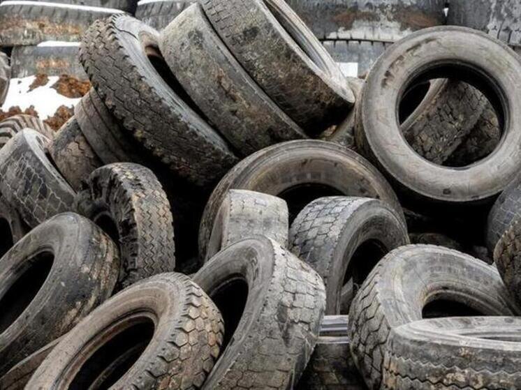     В мэрии Белгорода объяснили закрытие площадки для сбора шин на Студенческой, фото: «БелПресса» / Павел Колядин