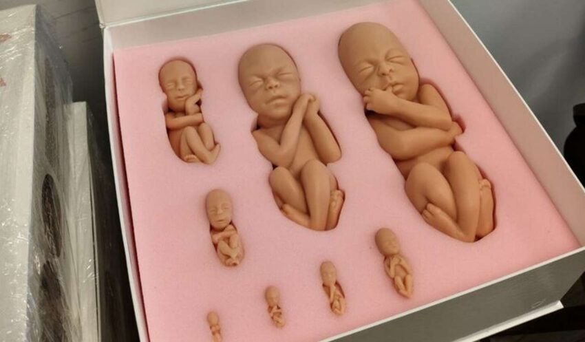    Минздрав Воронежской области.