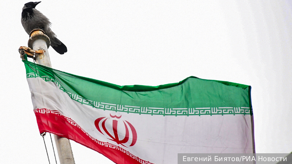     Фото: Евгений Биятов/РИА Новости   
 Текст: Вера Басилая