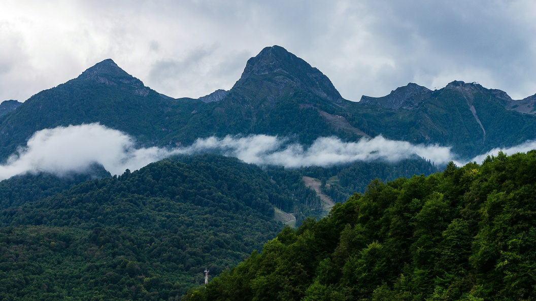    Фото: Globallookpress