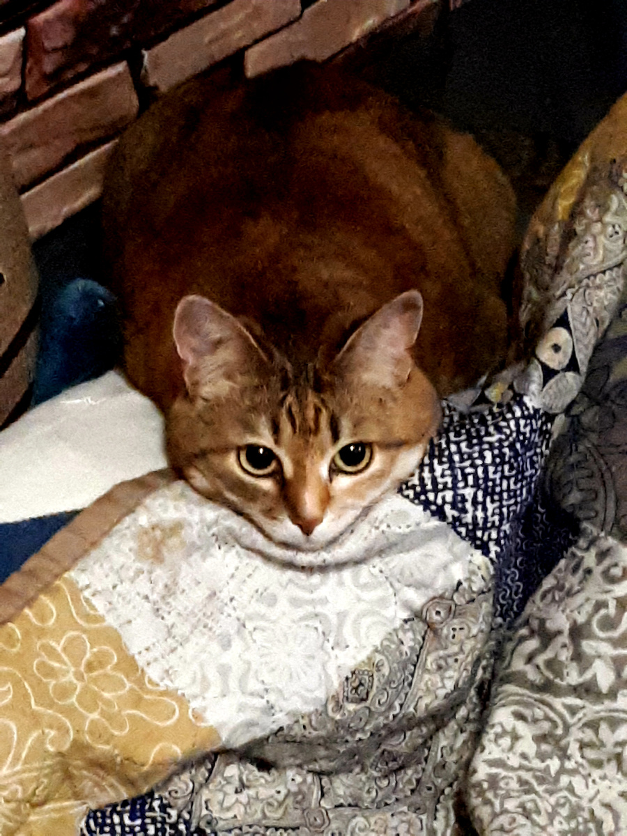 Фото автора 20.08.2025г.