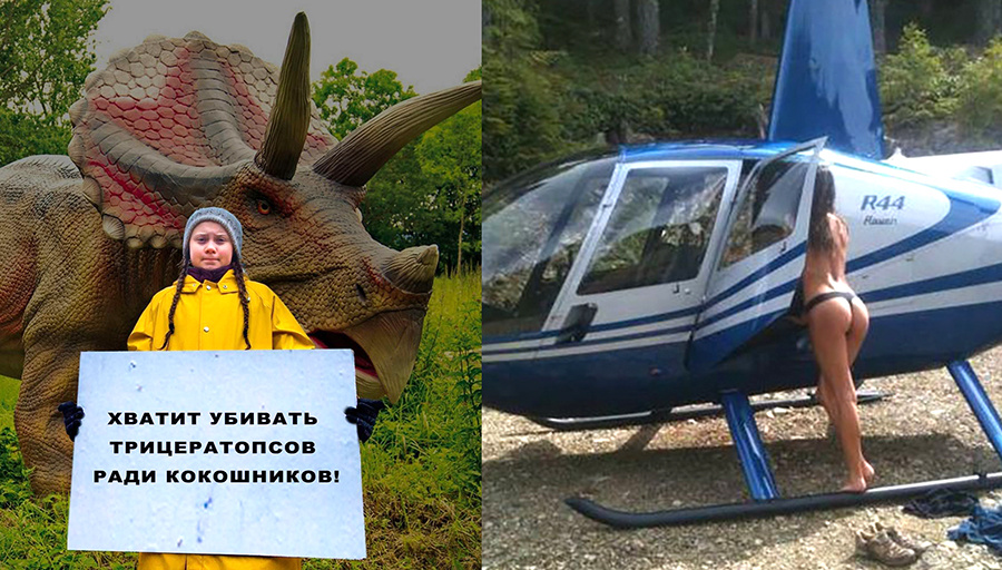 Ради коко шников