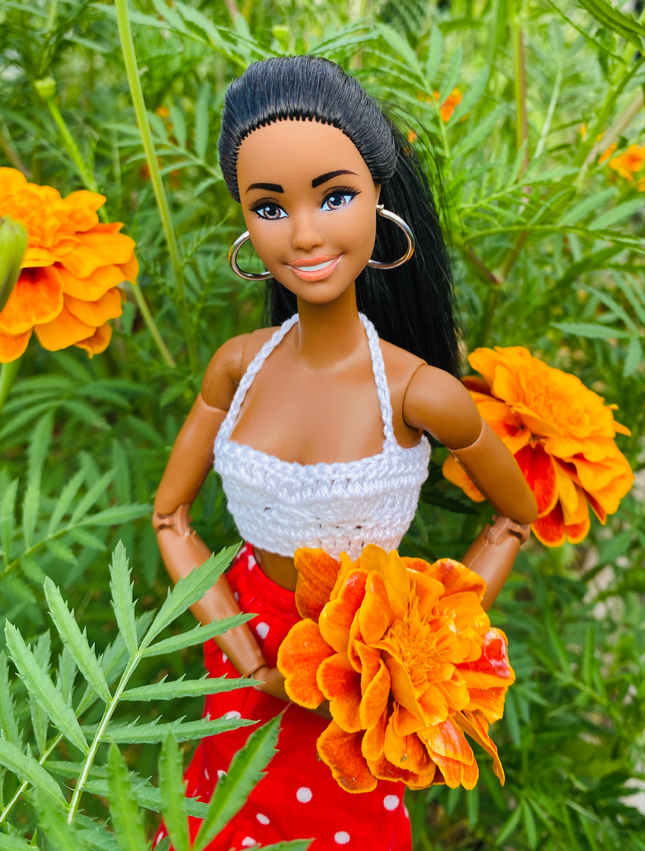 Даяна, Барби fashionistas 233 на теле Барби баскетболистки