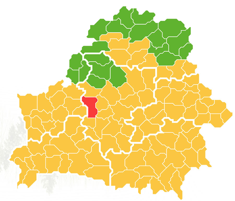    Скриншот: Минлесхоз