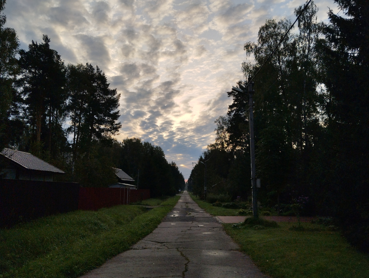 Дорога в лес.