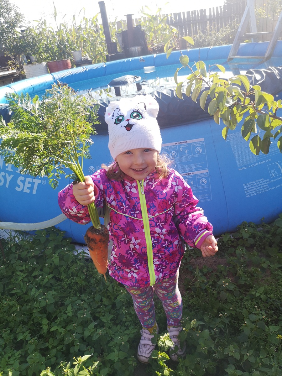 Урожай другого-года, свёкла будет позже)