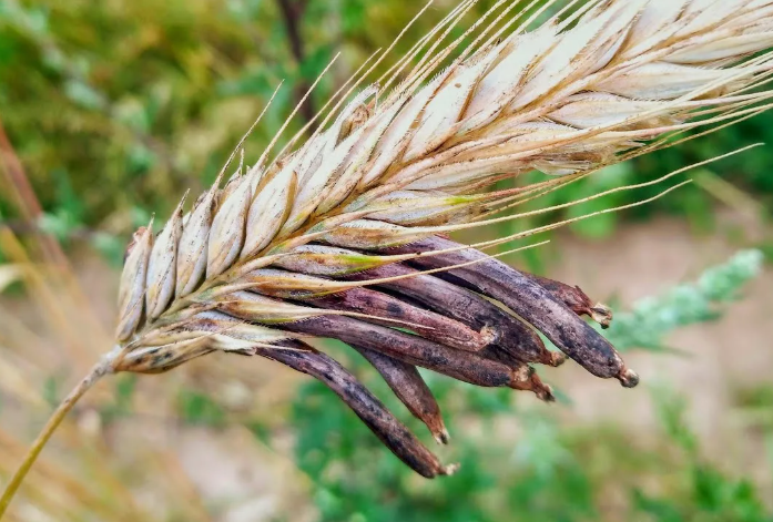 Поставь лайк!