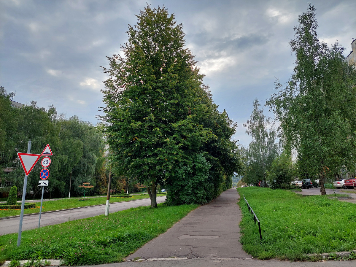 По дороге на работу.