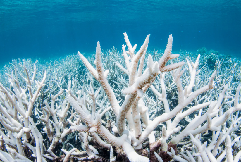 Поставь лайк!