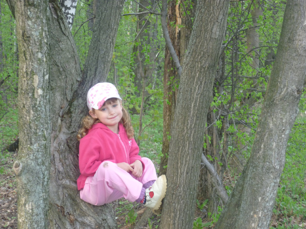 Полезла на дерево за пропитанием. Была застукана папарацции)