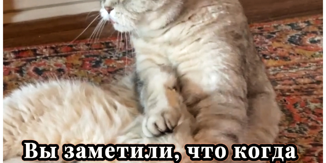 Интересно, почему🤔😂