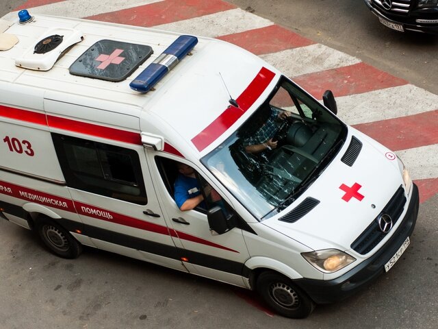    Фото: Москва 24/Игорь Иванко