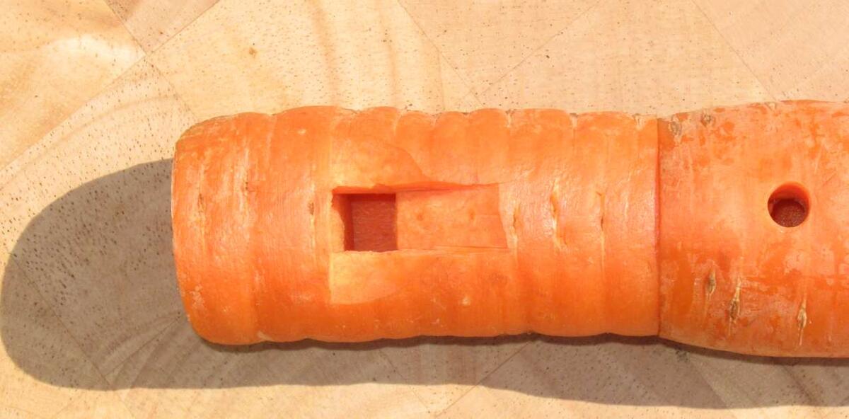 Морковная флейта