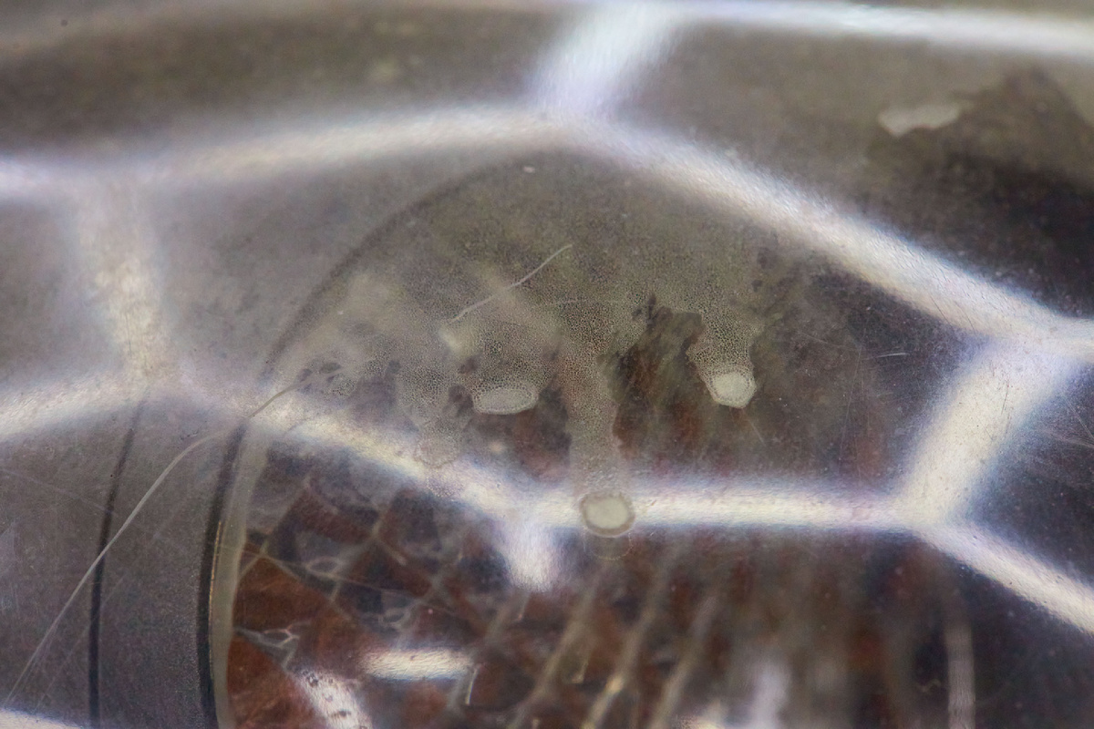 Источник фото: https://custom-heroes.ru/raboty/vid-uslugi/avtosvet/nashi-raboty/nissan-silvia-legendarnoe-jdm-kupe-i-vosstanovlenie-ego-far/