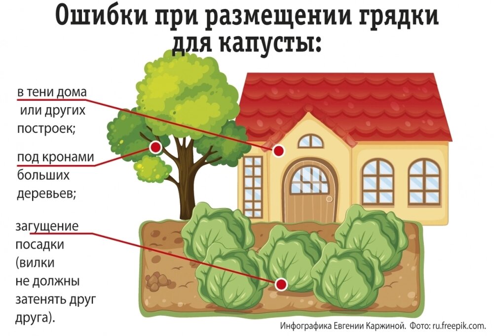    Фото: АиФ/ Евгения Каржина