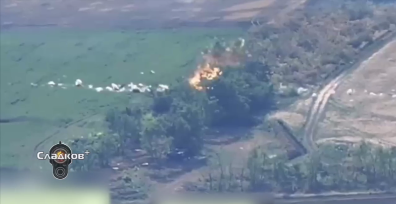    Скриншот: Telegram/"Сладков+"